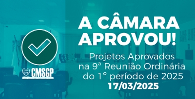 9ª Reunião Ordinária  do 1º período de 2025