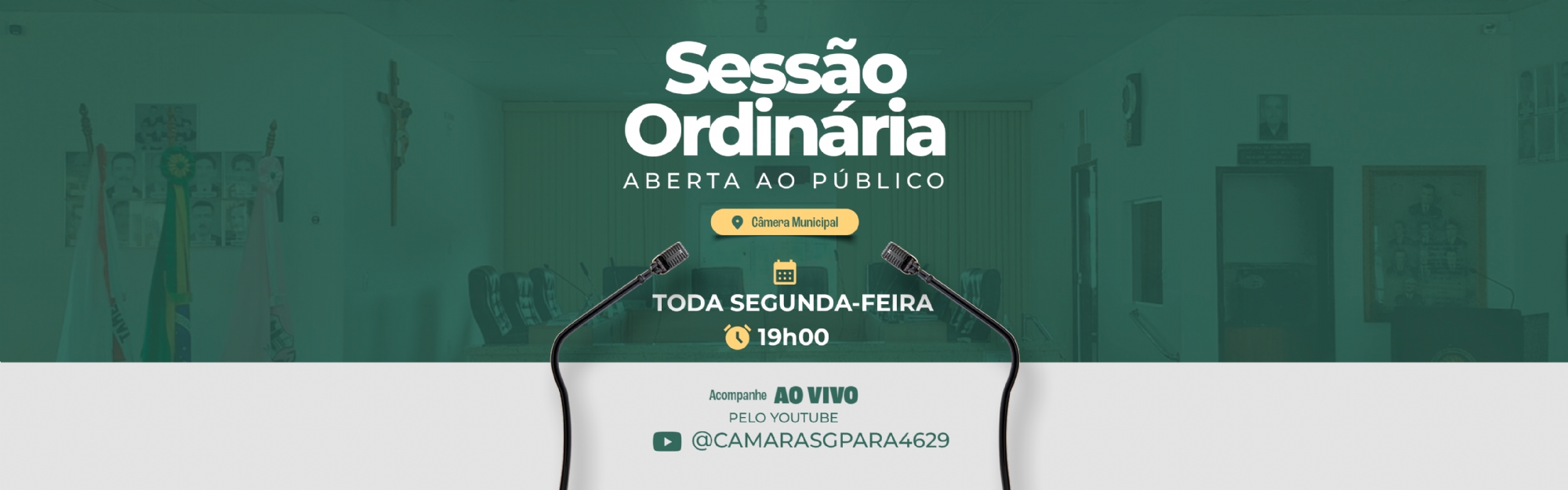 Visualizar 