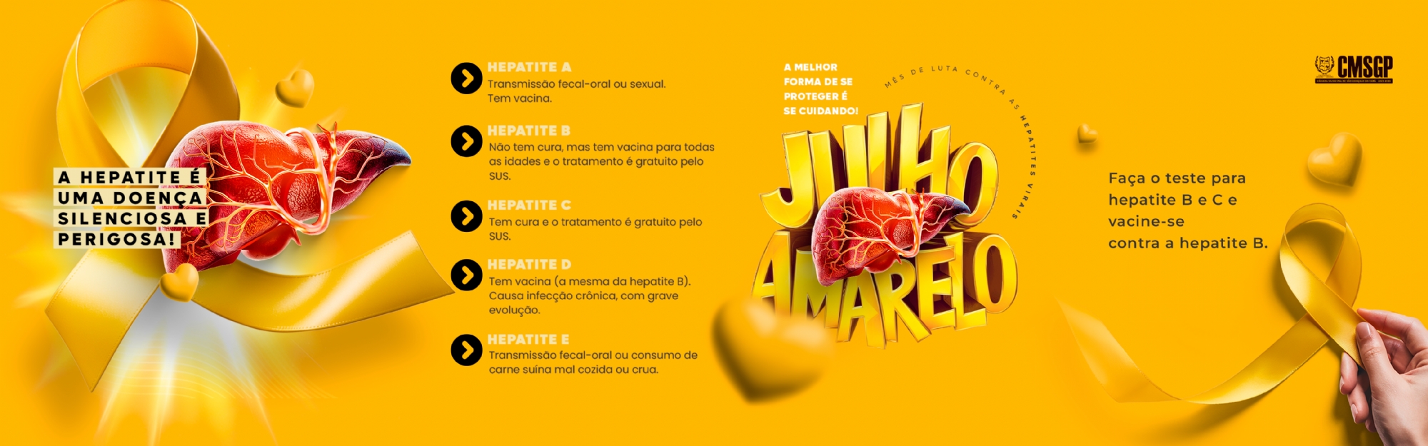 Visualizar 