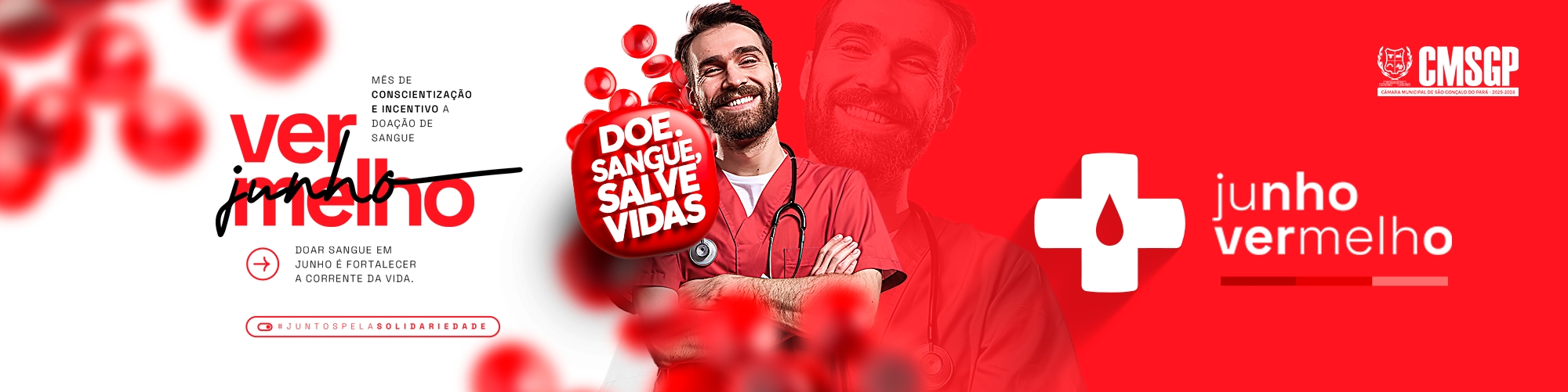 Visualizar 