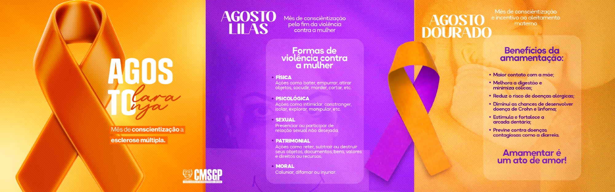 Visualizar Cores Agosto